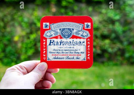 Lublin, Polen, 26. Juni 2025 Vintage Budweiser Lagerbier-Achterbahn aus einem Pub Stockfoto