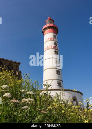 Vertikale Ansicht des Leuchtturms Saint-Mathieu in Finistère, Bretagne, mit Wildblumen im Vordergrund und klarem blauem Himmel. Stockfoto