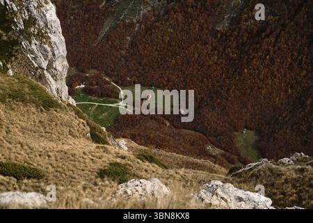 Kleine abgelegene Häuser liegen weit unten auf einer grünen Wiese, umgeben von dichtem Herbstwald und steilen Klippen in Prokletije. Luftaufnahme Stockfoto