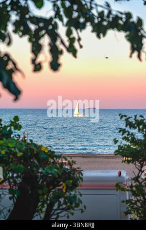 Das Segelboot gleitet bei Sonnenuntergang über das ruhige Meer, eingerahmt von Ästen und warmem, pastellfarbenen Himmel in der Ferne. Konzept des Segelbootes, friedliche Flucht, abendliche Ruhe Stockfoto