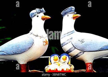 Souvenir aus dem Meer: Eine Möwenfamilie als Souvenir vom Meer Stockfoto