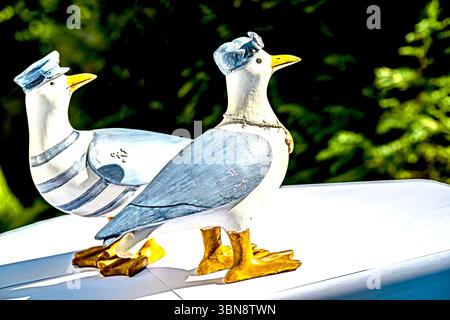 Souvenir aus dem Meer: Eine Möwenfamilie als Souvenir vom Meer Stockfoto