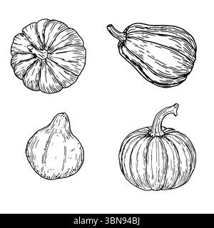 Kürbisse, Set, schwarz-weiß-Skizze. Vektorabbildung. Ein traditionelles dekoratives Element für Halloween, isoliert auf weißem Hintergrund. Kürbisse f Stock Vektor