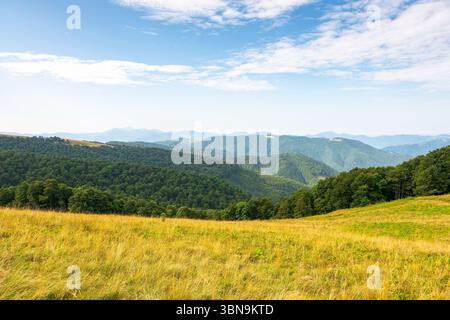 almwiesen an einem sonnigen Sommermorgen. Fantastischer Panoramablick ins Tal. Sanfte Landschaft mit Buchenwald am Hang. Fernchornohora Mo Stockfoto
