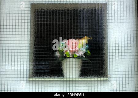 Die Dekoration mit pastellfarbenen Blumen befindet sich hinter einem Glasfenster mit Drahtgeflecht. Weißer Wandrahmen und schwarzer Hintergrund geben Illusionen von heiterer abstrakter Malerei. Stockfoto