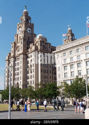 Touristen an der Beatles Statue in Pier Head mit dem Cunard und dem Royal Liver Gebäude. Liverpool, Merseyside, England. 30. Juni 2025 Stockfoto
