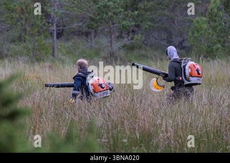 28. Juni 2025. Carrbridge und Grantown in Spey, Schottland. Dies ist ein sehr großes, vom Wind angetriebenes Waldfeuer auf den Hügeln zwischen Carrbridge und Grantown und S Stockfoto