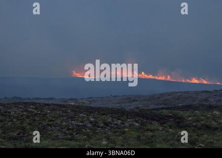 28. Juni 2025. Carrbridge und Grantown in Spey, Schottland. Dies ist ein sehr großes, vom Wind angetriebenes Waldfeuer auf den Hügeln zwischen Carrbridge und Grantown und S Stockfoto