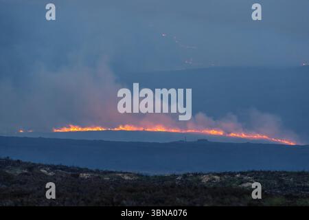 28. Juni 2025. Carrbridge und Grantown in Spey, Schottland. Dies ist ein sehr großes, vom Wind angetriebenes Waldfeuer auf den Hügeln zwischen Carrbridge und Grantown und S Stockfoto