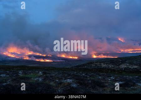 28. Juni 2025. Carrbridge und Grantown in Spey, Schottland. Dies ist ein sehr großes, vom Wind angetriebenes Waldfeuer auf den Hügeln zwischen Carrbridge und Grantown und S Stockfoto