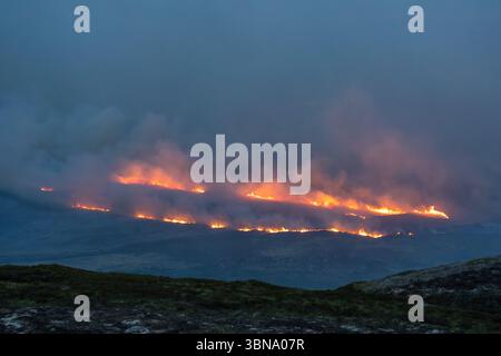 28. Juni 2025. Carrbridge und Grantown in Spey, Schottland. Dies ist ein sehr großes, vom Wind angetriebenes Waldfeuer auf den Hügeln zwischen Carrbridge und Grantown und S Stockfoto