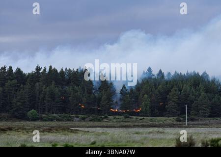 28. Juni 2025. Carrbridge und Grantown in Spey, Schottland. Dies ist ein sehr großes, vom Wind angetriebenes Waldfeuer auf den Hügeln zwischen Carrbridge und Grantown und S Stockfoto