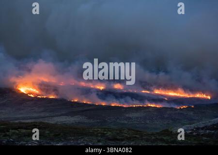 28. Juni 2025. Carrbridge und Grantown in Spey, Schottland. Dies ist ein sehr großes, vom Wind angetriebenes Waldfeuer auf den Hügeln zwischen Carrbridge und Grantown und S Stockfoto