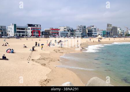 Gangneung City, Südkorea - 1. Juni 2025: Besucher entspannen sich am breiten Sandstrand, während sanfte Wellen das Ufer erreichen, mit zahlreichen Geschäften und Cafés Stockfoto