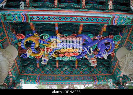 Gangneung City, Südkorea - 1. Juni 2025: Zwei farbenfroh bemalte Drachen winden sich über die reich verzierte Decke eines Tempeltores in Dongmyeong N Stockfoto