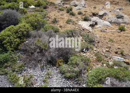 Die Sehenswürdigkeiten Zyperns, Eine felsige, trockene Landschaft mit einer Mischung aus grüner und brauner Vegetation. Das Gelände besteht hauptsächlich aus Felsen und Kies mit dünnen, trockenen Grasflächen und Sträuchern. Die Vegetation umfasst eine Vielzahl von Sträuchern und Büschen, von denen einige trocken und braun, während andere grün sind. Ein kleines, weißes Objekt, möglicherweise ein Vogel, ist in der Mitte des Bodens sichtbar. Eine entsorgte Kunststoffflasche liegt auf dem Boden nahe der rechten Bildrand. Der Himmel ist im Bild nicht sichtbar. Das Auge und die Phantasie eines Künstlers Stockfoto