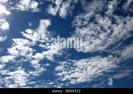 Eine Weite des tiefblauen Himmels, gefüllt mit verstreuten weißen Kumuluswolken unterschiedlicher Größe. Die helle Sonne ist in der linken oberen Ecke kaum zu sehen, ca. Stockfoto