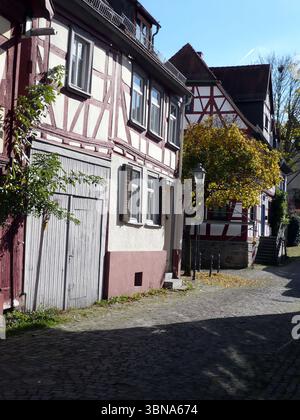 Idstein, Deutschland, Eine kopfsteingepflasterte Straße, gesäumt von traditionellen Fachwerkhäusern. Die Häuser haben eine Mischung aus rotem und weißem Holzrahmen, einige haben dunkelbraune oder schwarze Dächer. Die Straße ist relativ schmal, mit ein paar Bäumen und einem Laternenpfahl entlang des Weges. Die Häuser sind hauptsächlich in Rot- und Weißtönen bemalt, einige haben dunkelbraune oder schwarze Dächer. Eine kleine, helle Struktur, möglicherweise aus Stein, ist nahe der Basis eines der Häuser zu sehen. Die kopfsteingepflasterte Straße ist von Bäumen mit einer Mischung aus grünen und gelben/braunen Blättern umgeben, was darauf hindeutet, dass es Herbst sein könnte. Klar Stockfoto