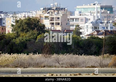 Zypern, Larnaca Salt Lake, das Bild zeigt eine Stadtlandschaft mit einer Mischung aus modernen und älteren Gebäuden, darunter ein hohes, helles Gebäude mit grünem Dach und Solarpaneelen. Die Gebäude sind hauptsächlich weiß und beige, einige mit Balkon und Satellitenschüssel. Im Vordergrund erstreckt sich ein Feld aus hohen, trockenen Gräsern über die Landschaft, mit einigen Bäumen und Büschen verstreut. Auf der rechten Seite ist ein Versorgungsmast mit Drähten sichtbar. Der Himmel ist klar, hellblau, und die gesamte Szene deutet auf einen sonnigen Tag hin. Das Auge und die Phantasie eines Künstlers Stockfoto