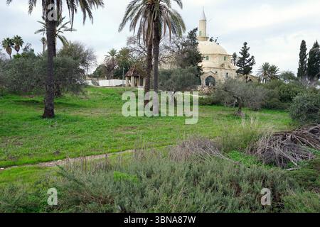 Zypern, Larnaca Salzsee, Hala Sultan Tekke. Eine ruhige Landschaft mit einem cremefarbenen kuppelförmigen Gebäude mit einem hohen Turm, eingebettet in eine üppige Fläche von grünem Gras und Bäumen. Das Gebäude ist von einer Vielzahl von Bäumen umgeben, einschließlich Palmen, und in der Mitte ist ein kleines Gebäude mit einem braunen Dach zu sehen. Ein unbefestigter Pfad oder Pfad schlängelt sich durch das grasbewachsene Gebiet. Der Himmel ist bewölkt und wirft ein weiches Licht über die Szene. Das Bild wurde aus einer leicht erhöhten Perspektive aufgenommen und bietet einen umfassenden Blick auf das Gebäude und seine Umgebung. Das Auge und die Fantasie eines Künstlers Stockfoto