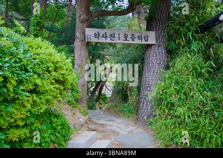 Gangneung City, Südkorea - 1. Juni 2025: Ein schmaler Steinweg schlängelt sich durch dichte Bäume und Bambus unter einem hölzernen Schild in Dongmyeong Nakgasa Temp Stockfoto
