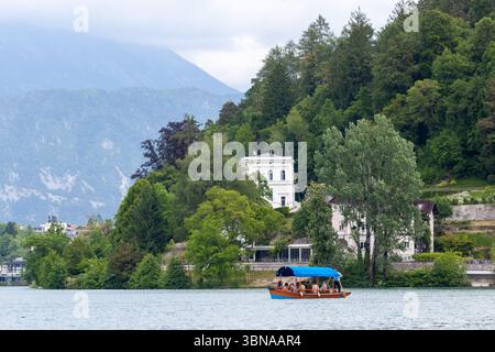 BLED, SLOWENIEN - 20. MAI 2025: Ein traditionelles hölzernes Pletna-Boot mit blauem Baldachin gleitet über das ruhige türkisfarbene Wasser des Bleder Sees Stockfoto