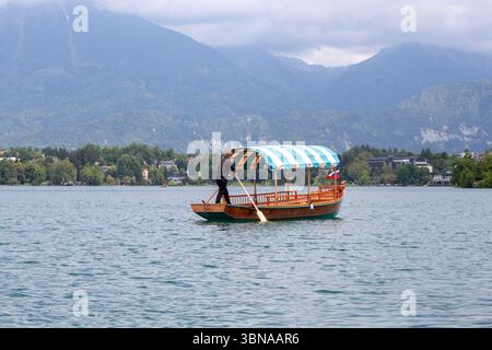 BLED, SLOWENIEN - 20. MAI 2025: Ein traditionelles Pletna-Boot, das mit seinem gestreiften blau-weißen Baldachin unverwechselbar ist, wird fachmännisch über das ruhige Wasser gerudert Stockfoto