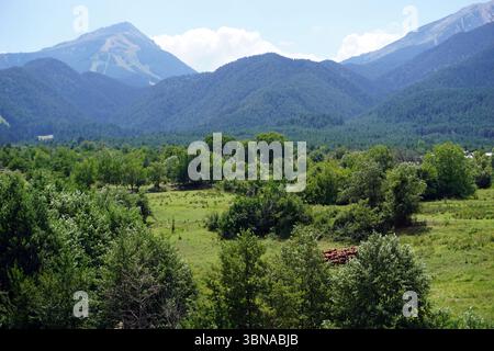 Eine ruhige Berglandschaft mit einem üppig grünen Tal im Vordergrund. Das Tal ist von Bäumen und Büschen gespickt, und einige rote Tiere, möglicherweise Kühe, sind in der Mitte des Bodens zu sehen. Die Berge im Hintergrund sind von dichten Wäldern bedeckt, mit einigen schneebedeckten Gipfeln. Der Himmel ist ein klares Blau mit ein paar verstreuten Wolken. Das Bild wird von einem hohen Aussichtspunkt aufgenommen und bietet einen Panoramablick auf das Tal und die majestätischen Berge. Bansko ist eine malerische Stadt im Südwesten Bulgariens, eingebettet am Fuße des Pirin-Gebirges. Stockfoto