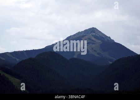 Eine majestätische Bergkette mit einem markanten Gipfel im Zentrum. Der Berg ist von einer Mischung aus grüner und brauner Vegetation bedeckt, mit sichtbaren Skipisten und Loipen, die sich entlang der Hänge schlängeln. Der Himmel ist bedeckt und hat eine hellgraue oder weiße Farbe. Die Perspektive des Bildes ist aus der Ferne, man blickt auf den Berg und gibt ihm ein Gefühl von Größe und Größe. Der Vordergrund wird von dunkelgrünen, bewaldeten Hügeln dominiert, die einen Kontrast zu den helleren Tönen des Berges und des Himmels bilden. Bansko ist eine malerische Stadt im Südwesten Bulgariens, eingebettet in den Fo Stockfoto