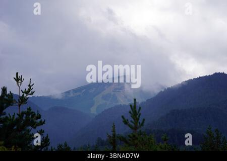 Eine majestätische Bergkette, umgeben von einer dicken Nebelschicht. Der Berg, dessen Gipfel teilweise vom Nebel verdeckt ist, ist ein markantes Merkmal der Szene. Die Hänge des Berges sind mit einer Mischung aus dunkelgrüner und brauner Vegetation bedeckt, und an den Hängen ist ein Skigebiet oder eine ähnliche Entwicklung zu sehen. Der Himmel ist bedeckt mit einer Mischung aus grauen und weißen Wolken. Im Vordergrund sind die Spitzen von Kiefern zu sehen, was der ansonsten überwiegend grauen und braunen Landschaft einen Hauch Grün verleiht. Bansko ist eine malerische Stadt im Südwesten Bulgariens, Nest Stockfoto