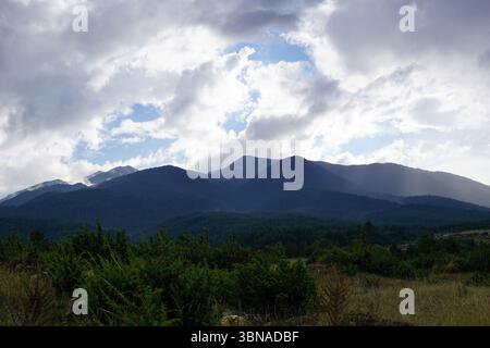 Eine majestätische Bergkette mit einer Mischung aus dunklen und hellgrünen/braunen Bergen. Die Berge sind mit einer dichten Schicht von Bäumen und Sträuchern bedeckt, was eine üppige grüne Landschaft schafft. Der Himmel ist mit Wolken gefüllt, wobei einige blaue Bereiche durch die Wolkendecke sichtbar sind. Im Vordergrund befindet sich ein Feld mit trockenem, hellbraunem Gras und einigen verstreuten Bäumen und Sträuchern. Das Bild ist aus einem niedrigen Winkel aufgenommen und unterstreicht die Pracht der Berge und den weiten Himmel darüber. Bansko ist eine malerische Stadt im Südwesten Bulgariens, eingebettet am Fuße des Piri Stockfoto