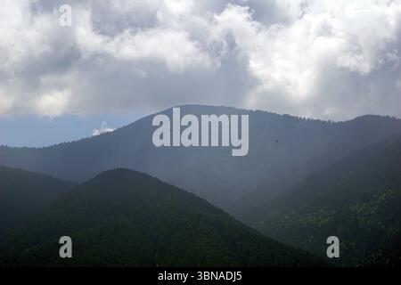 Eine majestätische Bergkette mit einer Mischung aus dunkelgrünen und braunen Tönen. Die Berge sind mit einer dichten Baumschicht bedeckt, die eine üppige grüne Landschaft schafft. Der Himmel ist voller Wolken, die ein weiches Licht über die Szene werfen. Zwei Vögel sind am Himmel zu sehen, einer am Gipfel des Berges und der andere am Boden. Die Berge scheinen in einem Tal oder einer Schlucht zu liegen, wobei die Gipfel hoch über der umliegenden Landschaft ragen. Bansko ist eine malerische Stadt im Südwesten Bulgariens, eingebettet am Fuße des Pirin-Gebirges. Stockfoto