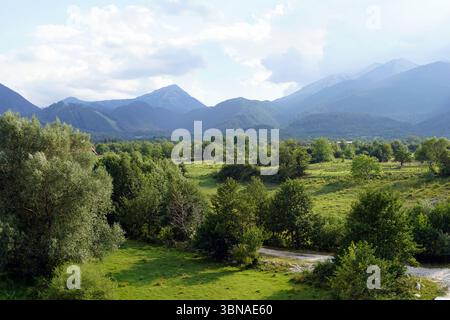 Eine ruhige Landschaft mit einem üppigen grünen Feld im Vordergrund, gespickt mit Bäumen und Büschen. Jenseits des Feldes erstreckt sich eine Reihe majestätischer Berge über den Horizont, deren Gipfel bis zu einem hellblauen Himmel mit verstreuten weißen Wolken reichen. In der Mitte des Bodens ist ein kleiner, heller Weg oder eine Straße zu den Bergen zu sehen. Die Berge scheinen von einer Mischung aus grüner und brauner Vegetation bedeckt zu sein. Bansko ist eine malerische Stadt im Südwesten Bulgariens, eingebettet am Fuße des Pirin-Gebirges. Stockfoto