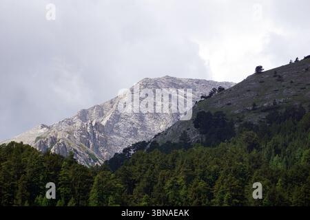 Eine majestätische Bergkette unter bewölktem Himmel. Der Berg auf der linken Seite ist mit einer hellgrauen oder weißen Felswände bedeckt, mit einigen Bereichen grüner Vegetation. Der Berg auf der rechten Seite ist eine Mischung aus Grün und Braun, mit einigen Bäumen und Sträuchern, die an den Hängen zu sehen sind. Der Vordergrund wird von einem dichten Wald aus dunkelgrünen Bäumen dominiert, der einen Kontrast zu den helleren Tönen der Berge bildet. Der Himmel ist bedeckt mit einer Mischung aus grauen und weißen Wolken. Bansko ist eine malerische Stadt im Südwesten Bulgariens, eingebettet am Fuße des Pirin-Gebirges. Stockfoto