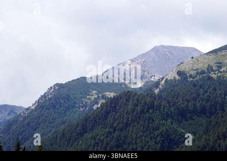 Eine majestätische Bergkette mit einem markanten Gipfel im Zentrum. Der Berg ist in erster Linie von einer Mischung aus grüner und brauner Vegetation bedeckt, wobei einige Gebiete Flecken von freiliegendem Gestein oder Boden aufweisen. Der Himmel ist bedeckt und hat eine hellgraue oder weiße Farbe. Die Perspektive des Bildes ist von einem hohen Aussichtspunkt aus und blickt hinunter auf die Bergkette, was der Szene ein Gefühl von Größe und Pracht verleiht. Der Vordergrund wird von einem dichten Wald aus dunkelgrünen Bäumen dominiert, der einen starken Kontrast zu den helleren Farben des Berges und des Himmels bildet. Ein Künstlerauge und fantasievolle Bildunterschrift, Bansko ist ein p Stockfoto
