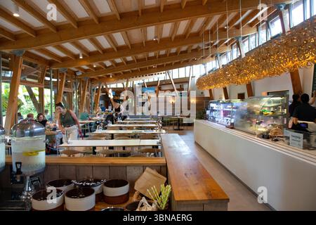 Trebah Gardens Cafe, in einem geräumigen Café sitzen Gäste an Tischen, während die Mitarbeiter Gäste am Schalter bedienen. Das Café hat ein High Stockfoto