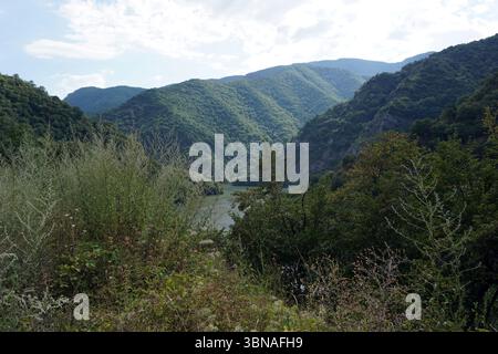 Eine ruhige Berglandschaft mit einem Fluss, der sich durch sie schlängelt. Die Berge sind von üppiger grüner Vegetation bedeckt, wobei einige Bereiche eine Mischung aus Grün- und Brauntönen aufweisen. Der Fluss, eine hellblau-grüne Farbe, fließt durch das Tal und reflektiert das umgebende Grün. Der Himmel ist hellblau mit verstreuten weißen Wolken, und die Szene wird von einem hohen Aussichtspunkt aus aufgenommen und bietet einen Panoramablick auf die Landschaft. Der Vordergrund wird von einer Mischung aus grüner und brauner Vegetation mit einigen größeren, trocken aussehenden Pflanzen dominiert. Ein Künstlerauge und fantasievolle Bildunterschrift., Bulgarien Stockfoto