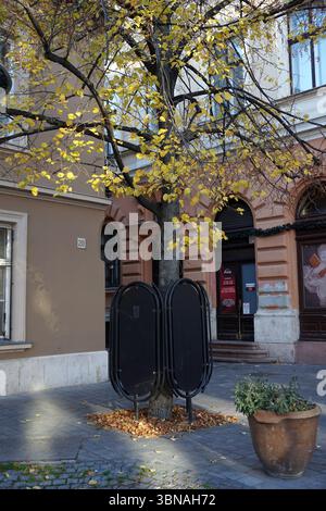 Budapest, Ungarn – die bezaubernde Perle der Donau., Budapest Schlosshügel. Ein Baum mit leuchtend gelben Blättern. Der Baum befindet sich vor einem Gebäude mit einer cremefarbenen oder beigefarbenen Fassade und einer roten Tür, auf der ein Schild mit der Aufschrift „Kirby's“ steht. Die Äste des Baumes erstrecken sich über den Bürgersteig und bilden ein Blätterdach. Zwei schwarze Metallkonstruktionen, möglicherweise Fahrradträger, befinden sich vor dem Baum. Ein Terrakotta-Topf mit einer kleinen Pflanze befindet sich auf dem Bürgersteig rechts vom Baum. Der Boden ist mit herabfallenden Blättern bedeckt, was darauf hindeutet, dass es Herbst sein könnte. Das Gebäude hat eine helle Fassade Stockfoto