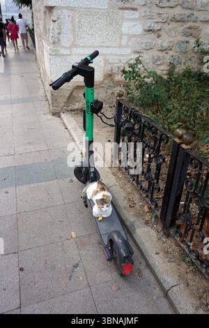 Istanbul, Türkei. Die größte Stadt in der Türkei und eine der wenigen transkontinentalen Städte der Welt, die sich über Europa und Asien auf der Bosporus-Straße erstreckt. Ein schwarz-grüner Elektroroller mit der Marke „Mari“ befindet sich auf einem Bürgersteig neben einem schwarzen schmiedeeisernen Zaun. Eine weiß-orange Katze sitzt bequem auf dem Rollersitz. Der Bürgersteig besteht aus hellgrauen Pflastersteinen und eine Steinmauer mit einer Mischung aus hell- und dunkelgrauen Steinen bildet die Kulisse. Einige Leute können auf dem Bürgersteig in der Ferne laufen sehen. Das Auge und die Phantasie eines Künstlers Stockfoto