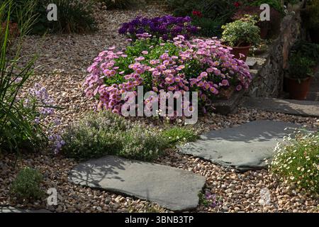 Steintreppweg im englischen Schottergarten, England, Europa Stockfoto