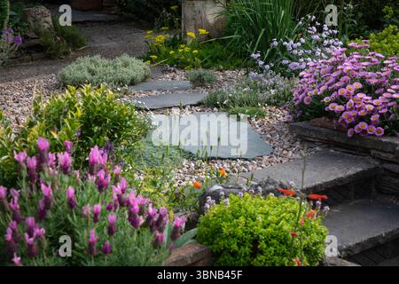 Steintreppweg im englischen Schottergarten, England, Europa Stockfoto