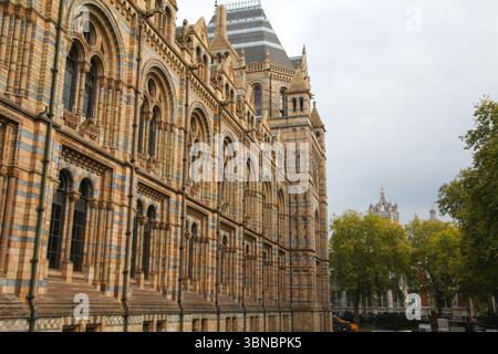 Die große Fassade im romanischen Stil des Natural History Museum in London, die an einem Herbsttag festgehalten wurde. Stockfoto