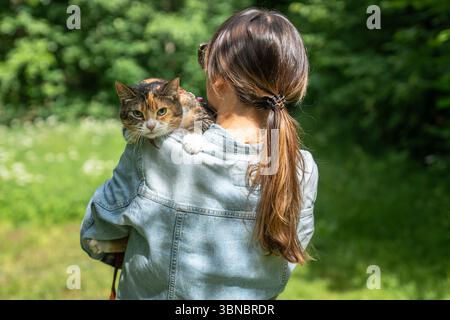 Die aufgeregte, aufgeregte Katze sitzt auf der Schulter der Besitzerin, während sie im Park draußen läuft. Stockfoto