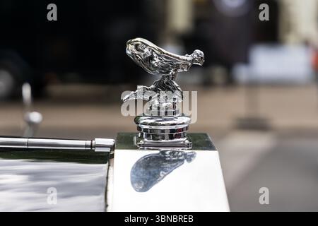 Nahaufnahme des Spirit of Ecstasy Kapuzenschmucks auf Rolls-Royce Silver Wraith (1950) bei den Classic Days Berlin. Kultige Automobilskulptur. Stockfoto