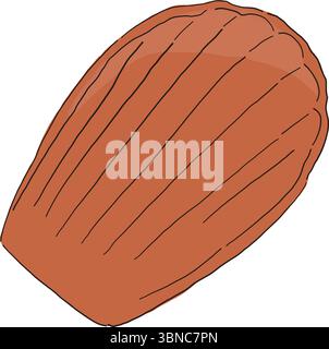 Vektor-Illustration eines klassischen französischen madeleine-Kuchens mit einer Schalenform. Ideal für Verpackungen in Bäckerei, Cafés und digitale Lebensmittelprojekte. Stock Vektor