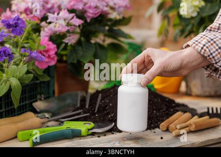 Gärtner Hand hält eine weiße Düngerflasche neben blühenden Blumen und Gartengeräten auf einem Holztisch. Stockfoto