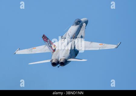 Die spanische Luftwaffe F-18 Hornet Kampfflugzeug auf dem Motril Air Festival mit spezieller Tiger Meet Lackierung. Stockfoto