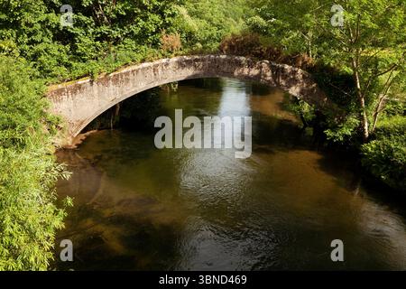 Hollins Bridge, eine alte Packhorse Bridge über den Fluss IRT in Wasdale im englischen Lake District Stockfoto