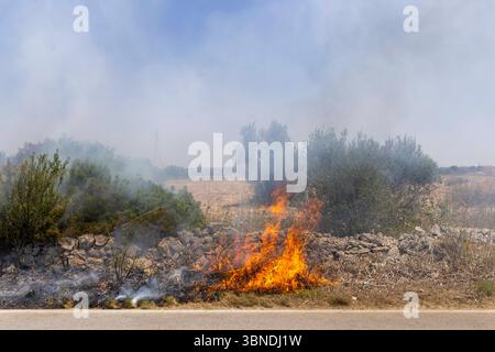 Die Auswirkung der Klimakatastrophe in Italien 27.06.2025, EU, ITA, Italien, Apulien, Lecce, Matino: neben dem Feuerbakterium Xylella fastidiosa OQDS bedrohen selbstentzündende Feuer, die durch ausbleibenden Regen und extreme Hitze entstehen, die Monokulturen der Olivenheine in der Region um Matino. EU, ITA, Italien, Apulien, Lecce, Matino: neben dem Feuerbakterium Xylella fastidiosa OQDS bedrohen selbstentzündende Brände, die durch Regen und extreme Hitze verursacht werden, die Monokulturen der Olivenhaine in der Region um Matino. Stockfoto