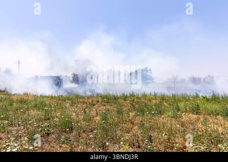 Die Auswirkung der Klimakatastrophe in Italien 27.06.2025, EU, ITA, Italien, Apulien, Lecce, Torchiarolo: neben dem Feuerbakterium Xylella fastidiosa OQDS bedrohen selbstentzündende Feuer, die durch ausbleibenden Regen und extreme Hitze entstehen, die Monokulturen der Olivenheine in der Region um Torchiarolo. EU, ITA, Italien, Apulien, Lecce, Matino: neben dem Feuerbakterium Xylella fastidiosa OQDS bedrohen selbstentzündende Brände, die durch Regen und extreme Hitze verursacht werden, die Monokulturen der Olivenhaine in der Region um Matino. Stockfoto
